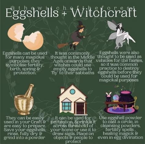 The History and Tradition of Witchcraft Fly Egg Breeding